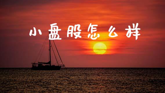 小盘股怎么样_https://m.15771688.com_期货手续费_第1张