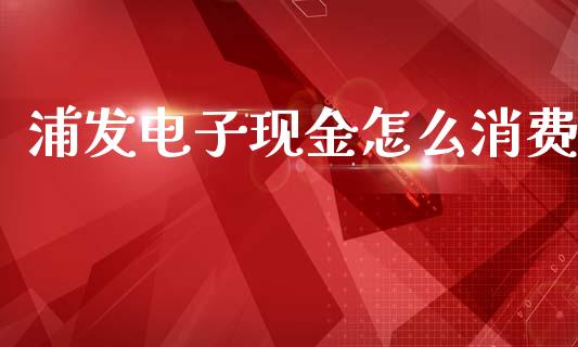 浦发电子现金怎么消费_https://m.15771688.com_美国道指_第1张