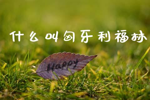 什么叫匈牙利福林_https://m.15771688.com_美国道指_第1张