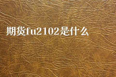 期货fu2102是什么_https://m.15771688.com_期货手续费_第1张