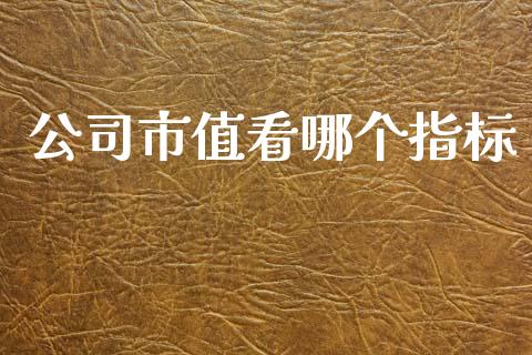公司市值看哪个指标_https://m.15771688.com_道指实时行情_第1张