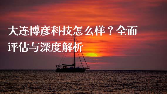 大连博彦科技怎么样？全面评估与深度解析_https://m.15771688.com_期货开户_第1张