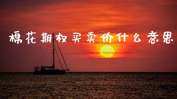 棉花期权买卖价什么意思_https://m.15771688.com_美国道指_第1张