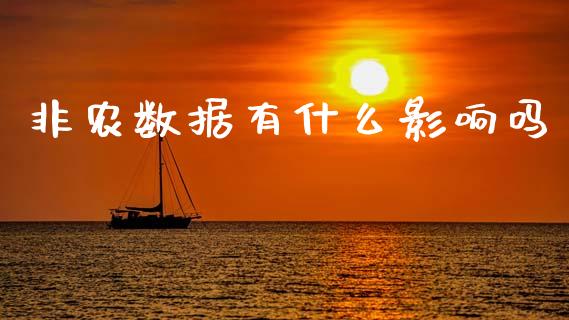 非农数据有什么影响吗_https://m.15771688.com_期货手续费_第1张