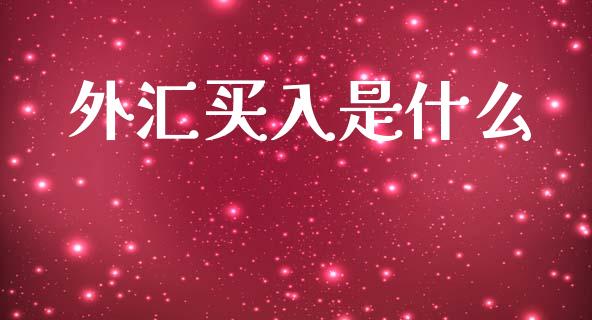 外汇买入是什么_https://m.15771688.com_期货手续费_第1张