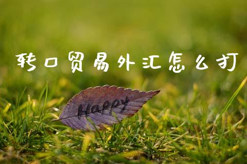 转口贸易外汇怎么打_https://m.15771688.com_道指实时行情_第1张