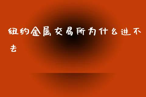纽约金属交易所为什么进不去_https://m.15771688.com_期货手续费_第1张