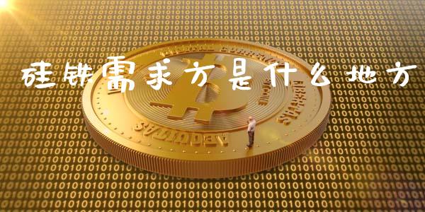 硅铁需求方是什么地方_https://m.15771688.com_期货手续费_第1张