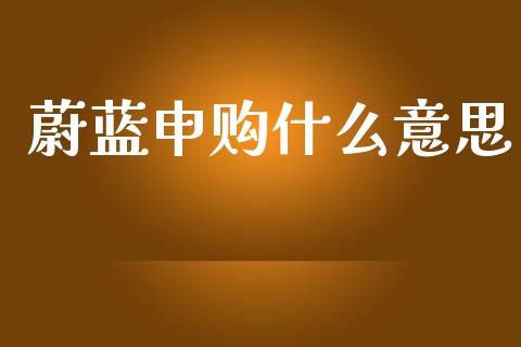 蔚蓝申购什么意思_https://m.15771688.com_美国道指_第1张