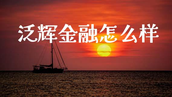 泛辉金融怎么样_https://m.15771688.com_期货开户_第1张