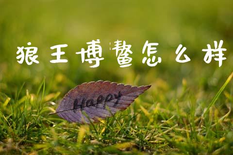 狼王博鳌怎么样_https://m.15771688.com_道指实时行情_第1张