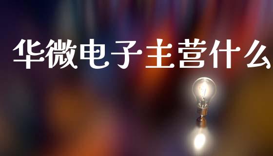 华微电子主营什么_https://m.15771688.com_期货开户_第1张