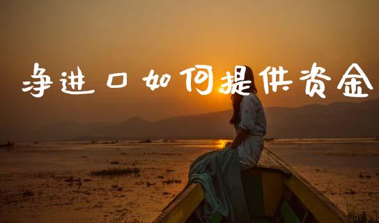 净进口如何提供资金_https://m.15771688.com_期货手续费_第1张