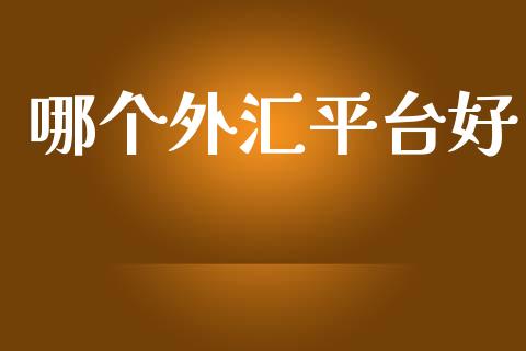 哪个外汇平台好_https://m.15771688.com_美国道指_第1张