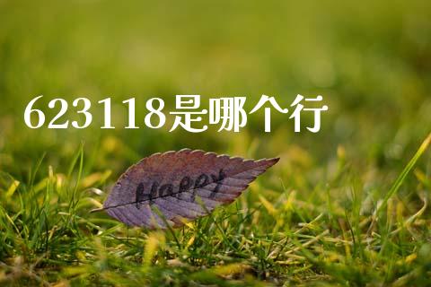 623118是哪个行_https://m.15771688.com_美国道指_第1张