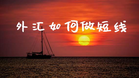 外汇如何做短线_https://m.15771688.com_期货手续费_第1张
