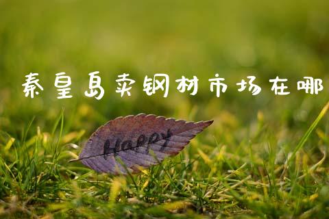 秦皇岛卖钢材市场在哪_https://m.15771688.com_期货手续费_第1张