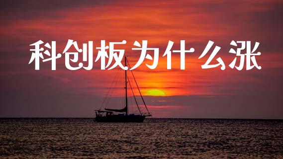 科创板为什么涨_https://m.15771688.com_期货开户_第1张