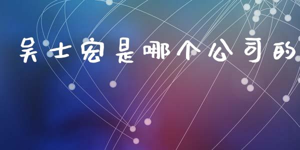 吴士宏是哪个公司的_https://m.15771688.com_美国道指_第1张