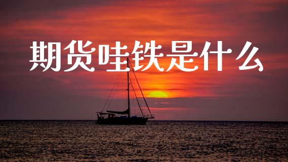 期货哇铁是什么_https://m.15771688.com_美国道指_第1张