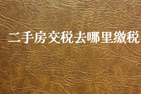 二手房交税去哪里缴税_https://m.15771688.com_期货手续费_第1张