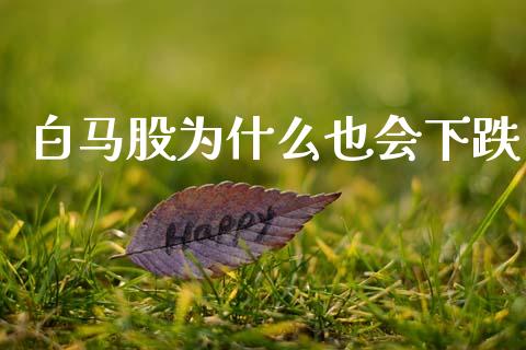 白马股为什么也会下跌_https://m.15771688.com_期货开户_第1张