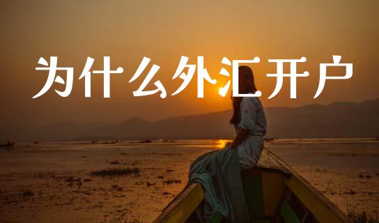 为什么外汇开户_https://m.15771688.com_道指实时行情_第1张
