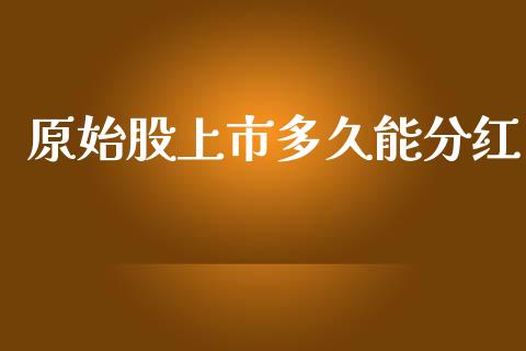 原始股上市多久能分红_https://m.15771688.com_期货开户_第1张