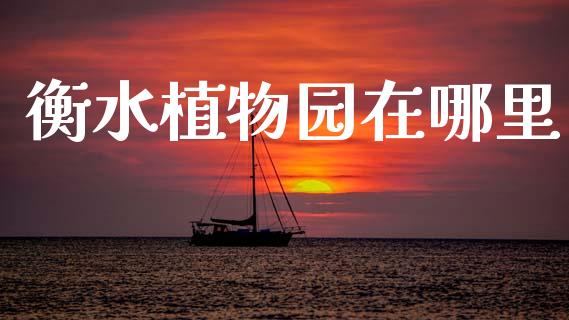 衡水植物园在哪里_https://m.15771688.com_道指实时行情_第1张