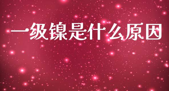 一级镍是什么原因_https://m.15771688.com_期货开户_第1张