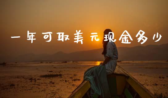 一年可取美元现金多少_https://m.15771688.com_期货开户_第1张