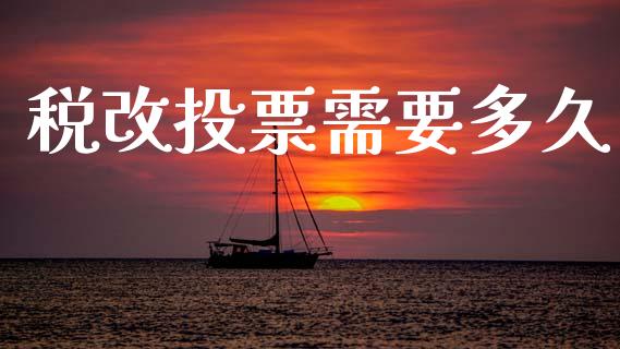 税改投票需要多久_https://m.15771688.com_期货开户_第1张