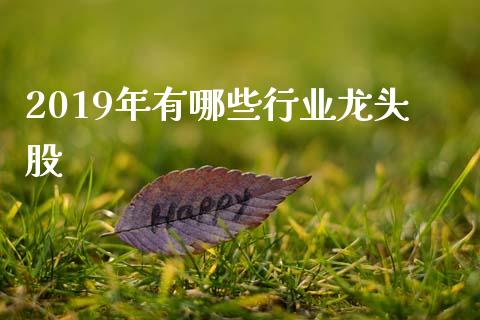 2019年有哪些行业龙头股_https://m.15771688.com_道指实时行情_第1张