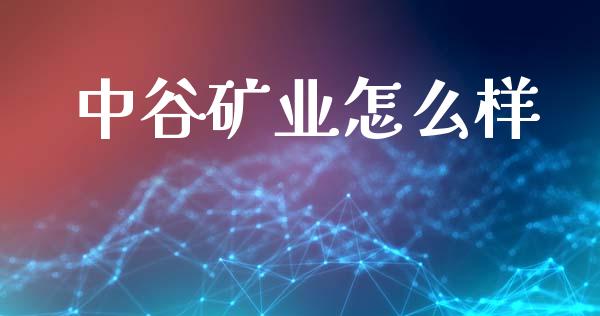 中谷矿业怎么样_https://m.15771688.com_期货手续费_第1张