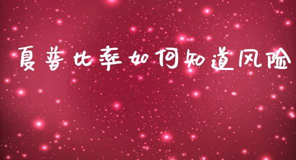 夏普比率如何知道风险_https://m.15771688.com_期货开户_第1张