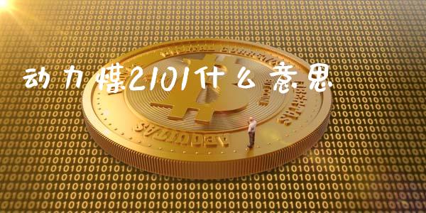 动力煤2101什么意思_https://m.15771688.com_道指实时行情_第1张