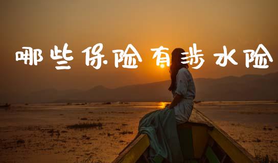 哪些保险有涉水险_https://m.15771688.com_道指实时行情_第1张