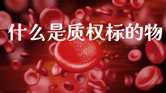 什么是质权标的物_https://m.15771688.com_期货手续费_第1张