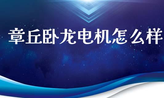 章丘卧龙电机怎么样_https://m.15771688.com_美国道指_第1张