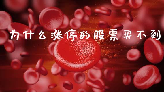 为什么涨停的股票买不到_https://m.15771688.com_期货手续费_第1张