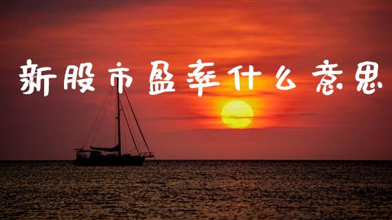 新股市盈率什么意思_https://m.15771688.com_期货手续费_第1张