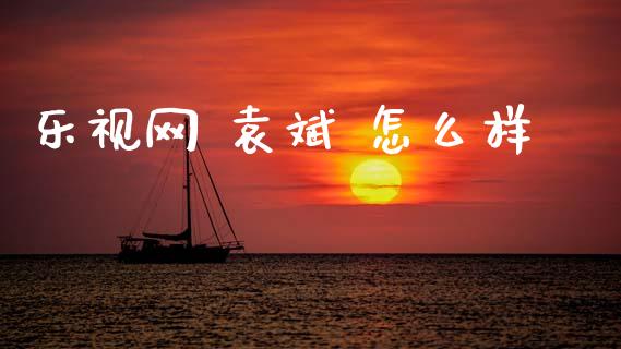 乐视网 袁斌 怎么样_https://m.15771688.com_期货开户_第1张