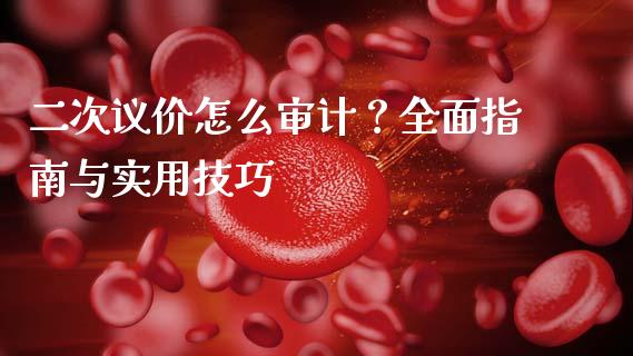 二次议价怎么审计？全面指南与实用技巧_https://m.15771688.com_期货手续费_第1张