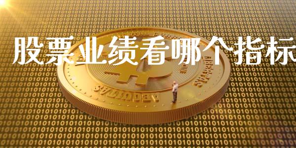 股票业绩看哪个指标_https://m.15771688.com_期货开户_第1张