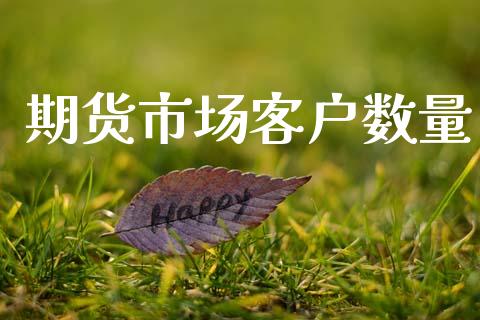 期货市场客户数量_https://m.15771688.com_期货开户_第1张