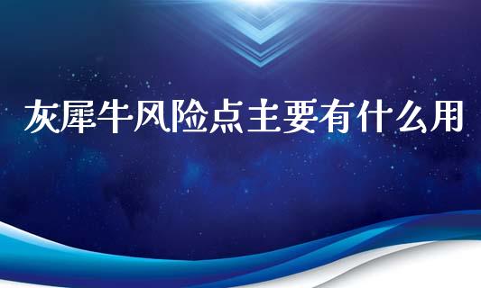 灰犀牛风险点主要有什么用_https://m.15771688.com_期货开户_第1张