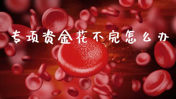 专项资金花不完怎么办_https://m.15771688.com_道指实时行情_第1张