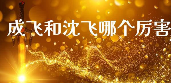 成飞和沈飞哪个厉害_https://m.15771688.com_道指实时行情_第1张