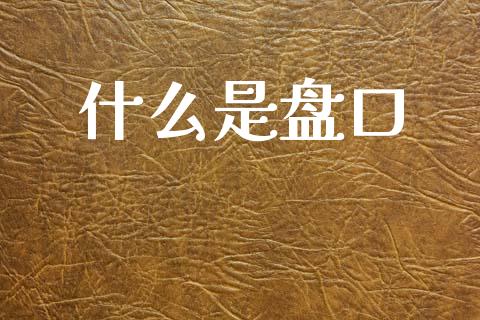 什么是盘口_https://m.15771688.com_美国道指_第1张