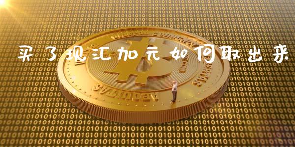 买了现汇加元如何取出来_https://m.15771688.com_期货手续费_第1张